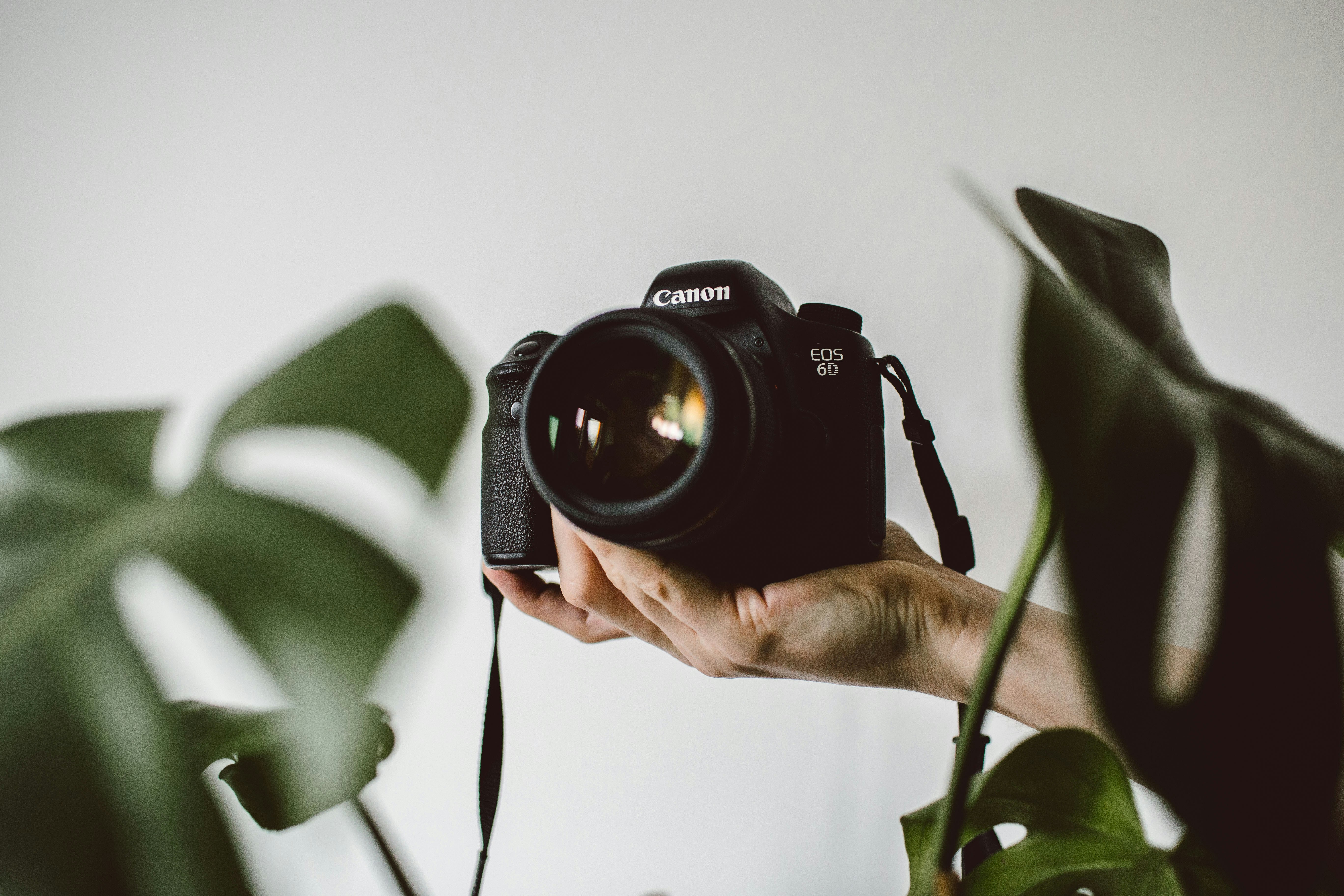 Photographies